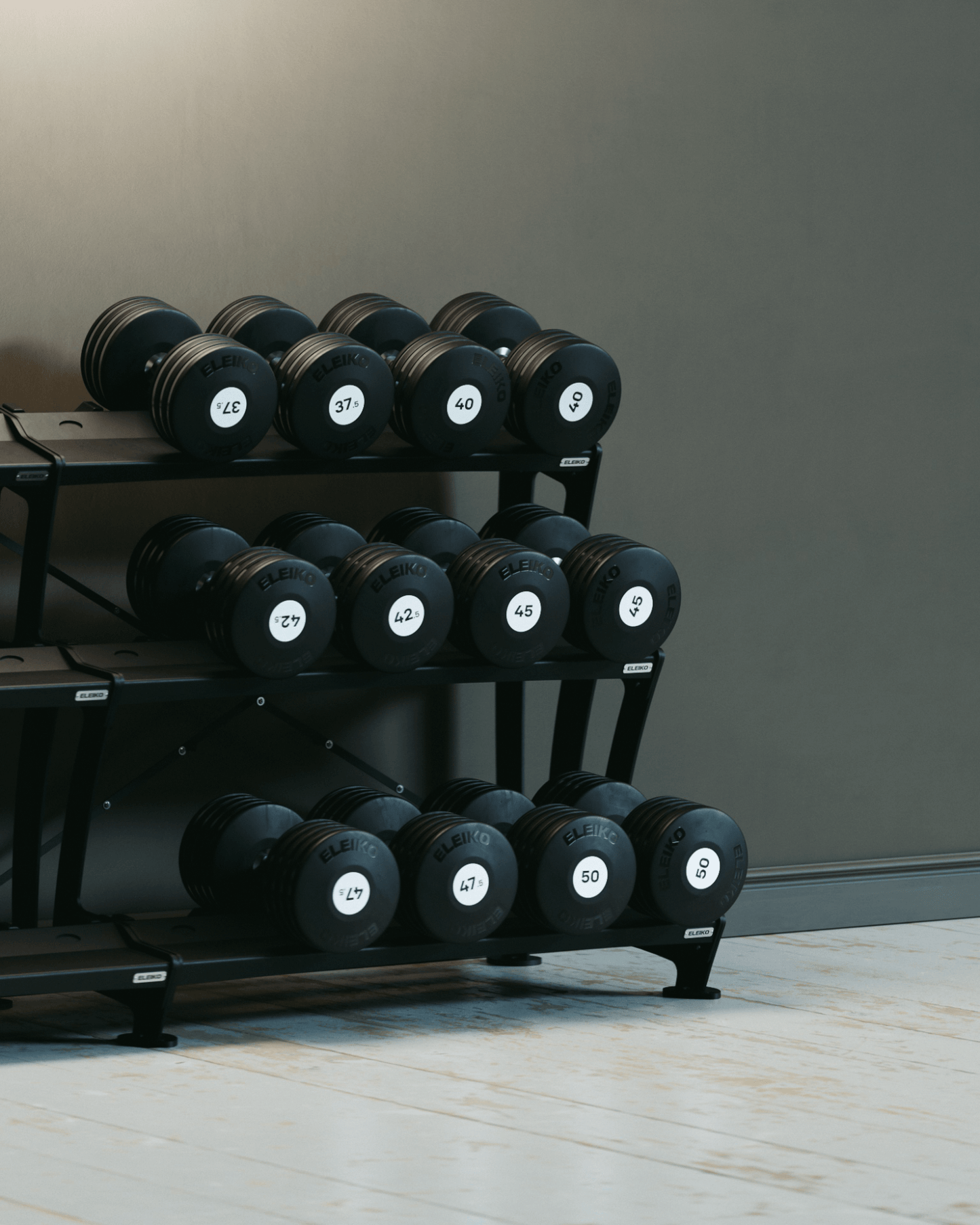Гантель Eleiko Plate